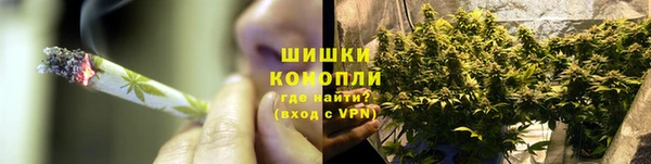 ПСИЛОЦИБИНОВЫЕ ГРИБЫ Беломорск