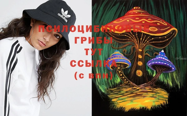 ПСИЛОЦИБИНОВЫЕ ГРИБЫ Беломорск