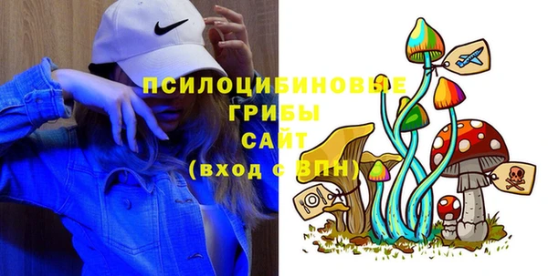 ПСИЛОЦИБИНОВЫЕ ГРИБЫ Беломорск
