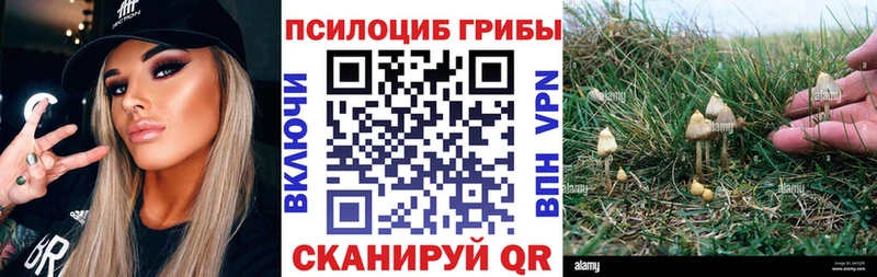 Галлюциногенные грибы GOLDEN TEACHER  Цимлянск 